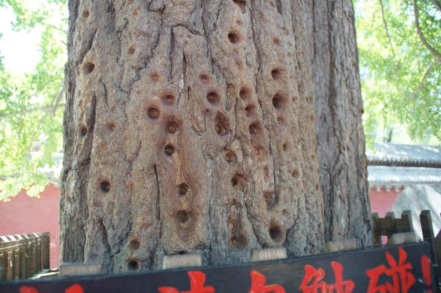 20130829_China_0223.jpg