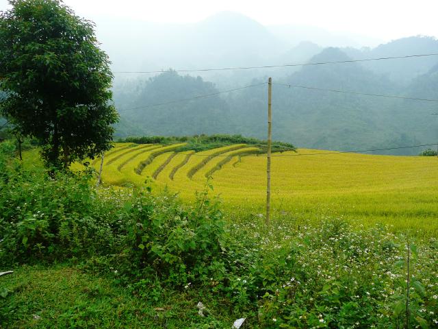 Vietnam 2007