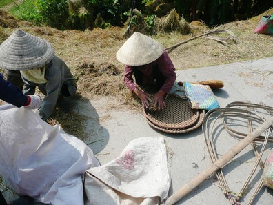 Vietnam0544.jpg