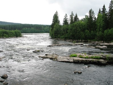 Bild-045.jpg