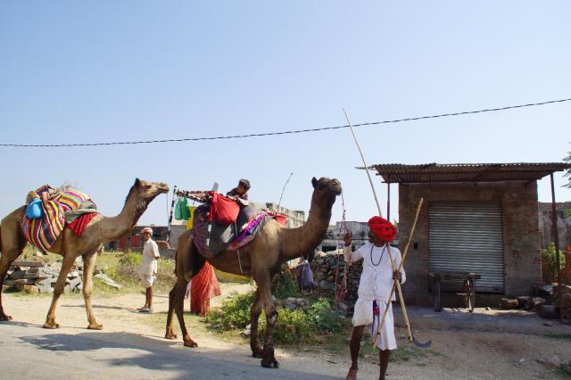 Indien20161025_00526.jpg